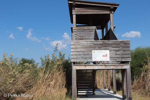 Akrotiri Marshin lintutorni