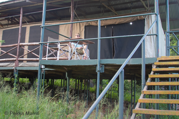 Ikoma Wild Camp 