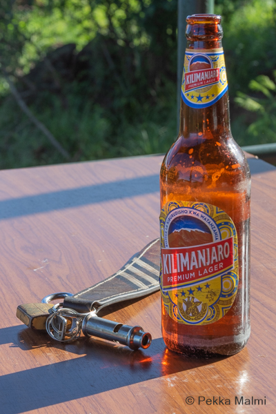 Kilimanjaro-olut ja kutsupilli