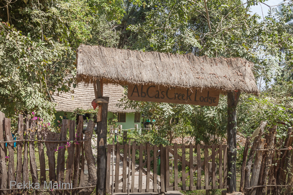 Lounastauko Abcas ravintolassa