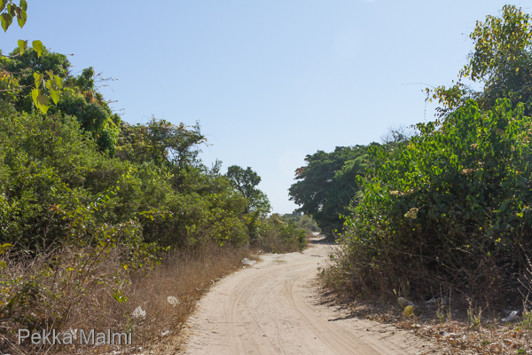 Brufutin mets�alue 