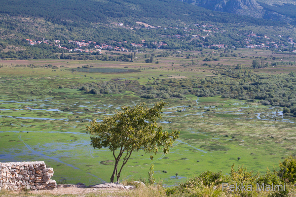 Prolosko Blaton j�rvi- ja peltoalue