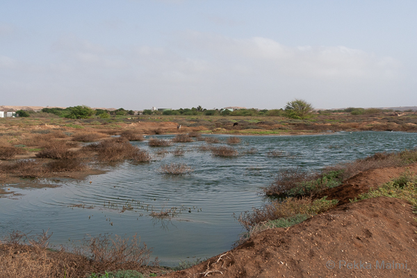 Santa Marian pohjoispuolen lietealtaat