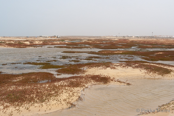 Hotellin l�hiymp�rist�