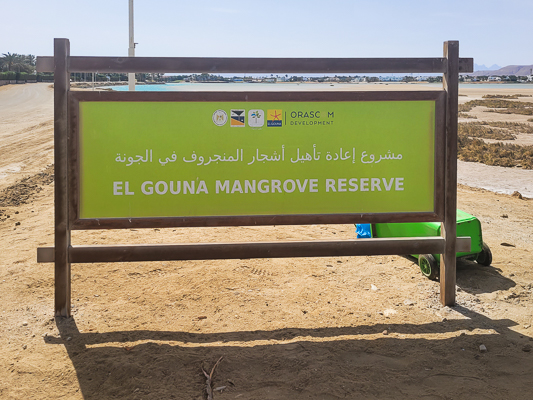El Gouna Mangrove reserve  