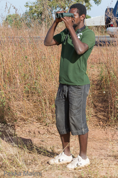 Oppaani Mamadou W. Jallow