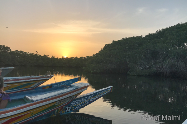 Haikarat ja merimetsot saapuvat y�pym��n