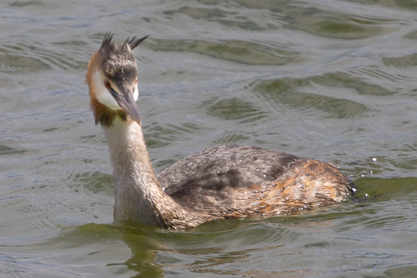 Ensimm�isen illan auringonlasku