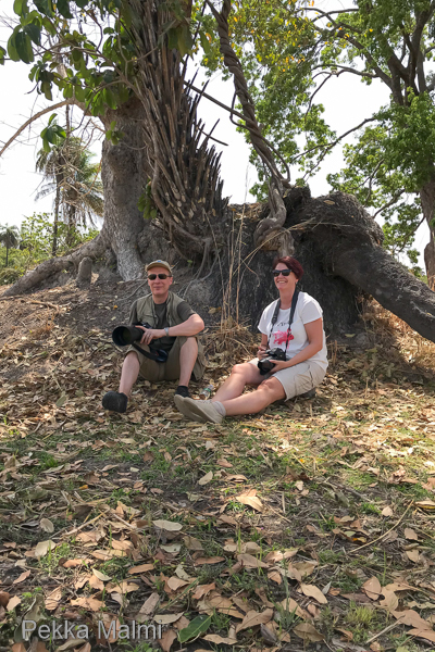 Lepohetki petolintujen juomapaikalla