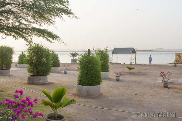 Aamuhavainnointia joen l�heisyydess� 