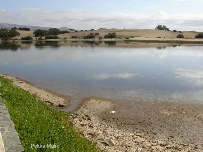 Las Maspalomas lampi/kosteikkoalue