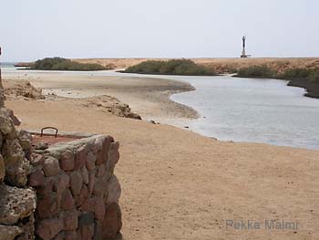 Ras Mohammedin luonnonpuisto