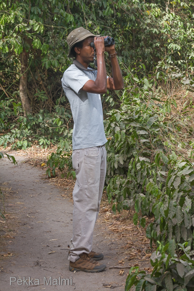 Oppaamme Sainey Barry