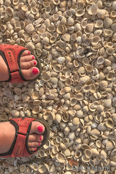 P�iv�k�velyll�