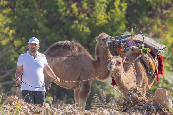 Paikalliset kulkuneuvot