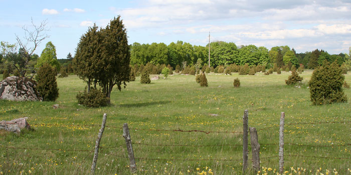 Niitty� Matsalunlahdella