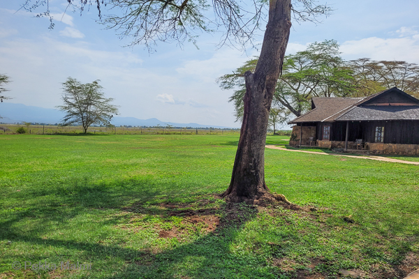 N�kym� Amboselin luonnonpuistoon