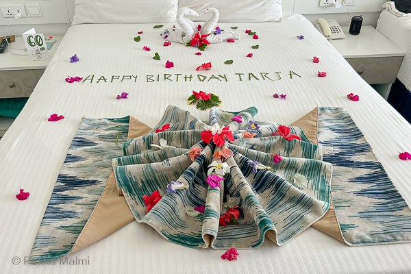 Tarjan syntym�p�iv�