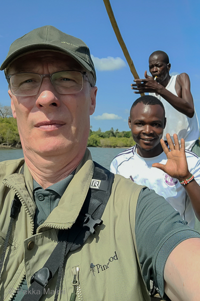 Ali, Hamud ja kuvaaja