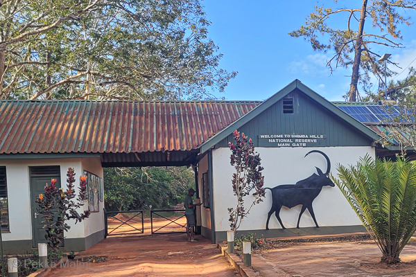 Shimba Hillsin luonnonpuiston portti