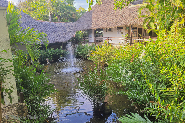 Suihkul�hde ja kala-allas 