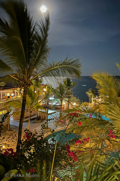 Tarjan syntym�p�iv�